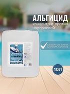 Альгицид VITA UDIN против водорослей, 10 л - фото 45516748