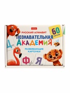 Развивающие карточки «Познавательная академия», 60 шт. 10895644 - фото 319859084