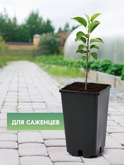 Горшок для рассады, 2 л, 12×12×17 см, пластик, чёрный