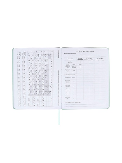 Дневник школьный 1-11 класс, deVENTE. deVENT.Flower, искусственная кожа, мятный