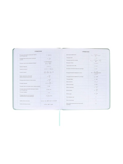 Дневник школьный 1-11 класс, deVENTE. deVENT.Flower, искусственная кожа, мятный