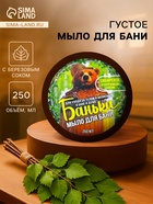 Мыло для бани густое «Банька» сибирское с березовым соком, 250 мл - Фото 1