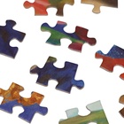 Пазлы «Дрессировщица», 1000 деталей - фото 7626723