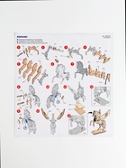 Конструктор деревянный 3д модель «Пегас», 33 детали - Фото 6