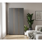 Шкаф трехстворчатый для одежды «Фаворит», 1200×520×2236 мм, цвет графит 10893758