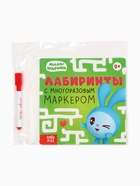 Книги детские «Многоразовые лабиринты», набор 2 шт. по 12 стр., Малышарики 10856968 - фото 5312950