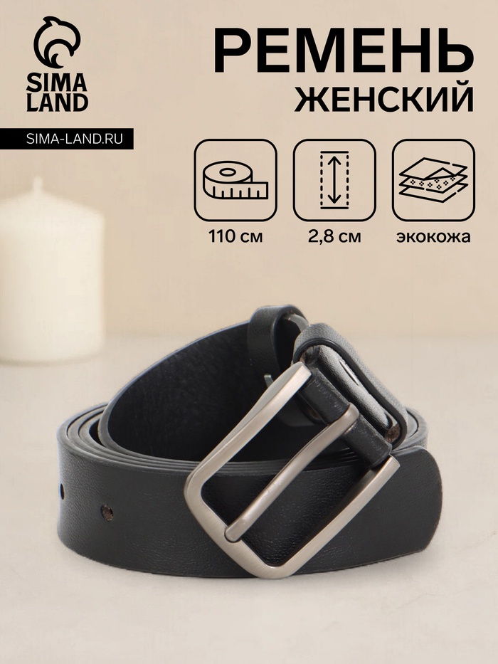 Ремень женский с винтом, 110×2.8 см, классическая пряжка металл, серебристая, чёрный - Фото 1