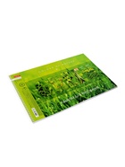 Альбом для рисования А4, 40 листов, на спирали, Hatber «Гармония цвета!», МИКС - фото 119338573