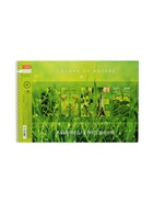 Альбом для рисования А4, 40 листов, на спирали, Hatber «Гармония цвета!», МИКС - фото 119338576