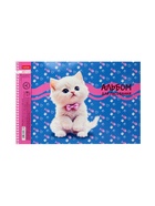 Альбом для рисования А4, 40 листов, на спирали, Hatber "Мы-котики!", МИКС - фото 119338586