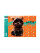 Альбом для рисования А4, 40 листов, на спирали, Hatber "Мы-котики!", МИКС - фото 119338588