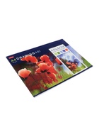 Альбом для рисования Hatber «Акварельная палитра» А4, 48 листов, на скобе - Фото 2