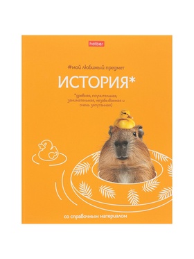 Тетрадь 48л кл "Мой любимый предмет" ИСТОРИЯ, мел карт, S-touch, интер справ, офсет (комплект 3 шт)