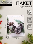Пакет подарочный новогодний ламинированный «Зимняя пора» 18×23×10 см - Фото 1