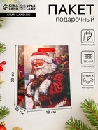 Пакет подарочный новогодний ламинированный «Дед Мороз с подарками», 18×23×10 см - Фото 1