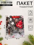 Пакет подарочный новогодний ламинированный «Игрушки в снегу», 18×23×10 см - Фото 1