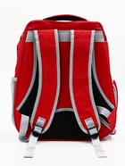 УЦЕНКА Рюкзак для переноски кошек, прозрачный, 32×28×42 см, красный - Фото 3