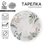 Тарелка одноразовая бумажная «Природа», 18 см, 10шт 10892134 - фото 16836184