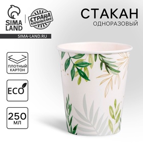 Стакан одноразовый бумажный «Природа», 250 мл, 10 шт