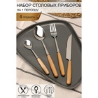 Набор столовых приборов Доляна Wood, 4 предмета, нержавеющая сталь, цвет металла серебряный - Фото 1
