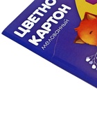 Картон цветной А4, 10 листов, 10 цветов, волшебный (золото + серебро), мелованный 230 г/м2, Calligrata, в папке - Фото 9