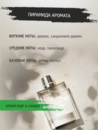 Шампунь-гель для душа мужской 2 в 1 CLARIO белый кедр и сандал, 400 мл 10897831 - фото 16591175