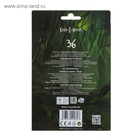 Карандаши Koh-I-Noor 3595 «Динозавр», 36 цветов, картонная упаковка - Фото 4