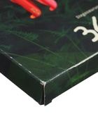 Карандаши Koh-I-Noor 3595 «Динозавр», 36 цветов, картонная упаковка - Фото 6