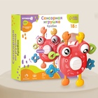 УЦЕНКА Развивающая, сенсорная игрушка Крошка Я «Крабик», красная - Фото 7