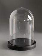 Купол-клош на подставке пластик, 14×14×19 см - Фото 1