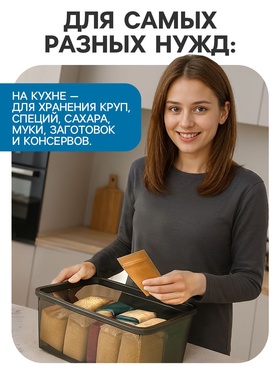 Ящик пластиковый для хранения, с крышкой, объём — 10 л, прозрачно-чёрный