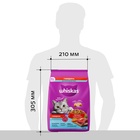Сухой корм Whiskas для стерилизованных кошек, говядина, 1,3 кг 10900077 - фото 16601918