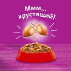 Сухой корм Whiskas для стерилизованных кошек, говядина, 1,3 кг 10900077 - фото 16601910