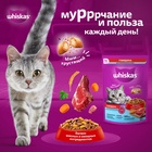 Сухой корм Whiskas для стерилизованных кошек, говядина, 1,3 кг 10900077 - фото 16601912