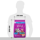 Сухой корм Whiskas для кошек, лосось, подушечки, 1,3 кг 10900078 - фото 16601929