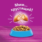 Сухой корм Whiskas для кошек, лосось, подушечки, 1,3 кг - фото 46508941