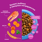 Сухой корм Whiskas для кошек, лосось, подушечки, 1,3 кг 10900078 - фото 16601922