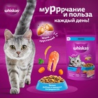 Сухой корм Whiskas для кошек, лосось, подушечки, 1,3 кг 10900078 - фото 16601923