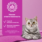 Сухой корм Whiskas для кошек, курица/индейка, подушечки, 1,3 кг 10900079 - фото 16601939