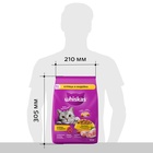Сухой корм Whiskas для кошек, курица/индейка, подушечки, 1,3 кг 10900079 - фото 16601940