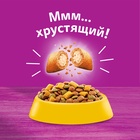 Сухой корм Whiskas для кошек, курица/индейка, подушечки, 1,3 кг - фото 46508952