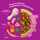 Сухой корм Whiskas для кошек, курица/индейка, подушечки, 1,3 кг 10900079 - фото 16601933