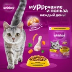 Сухой корм Whiskas для кошек, курица/индейка, подушечки, 1,3 кг 10900079 - фото 16601934