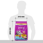 Сухой корм Whiskas для стерилизованных кошек, курица, 1,3 кг 10900081 - фото 16601951