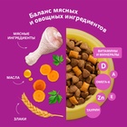 Сухой корм Whiskas для стерилизованных кошек, курица, 1,3 кг 10900081 - фото 16601944