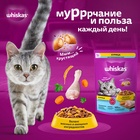 Сухой корм Whiskas для стерилизованных кошек, курица, 1,3 кг 10900081 - фото 16601945