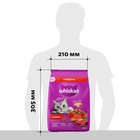 Сухой корм Whiskas для кошек, подушечки, паштет с говядиной,1,3 кг 10900082 - фото 16601962