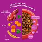 Сухой корм Whiskas для кошек, подушечки, паштет с говядиной,1,3 кг 10900082 - фото 16601955