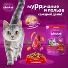 Сухой корм Whiskas для кошек, подушечки, паштет с говядиной,1,3 кг 10900082 - фото 16601956