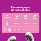 Сухой корм Whiskas для кошек, подушечки, паштет с говядиной,1,3 кг 10900082 - фото 16601958
